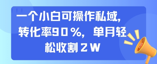 一个小白可操作私域,转化率90%,单月轻松收割2W-网赚副业网