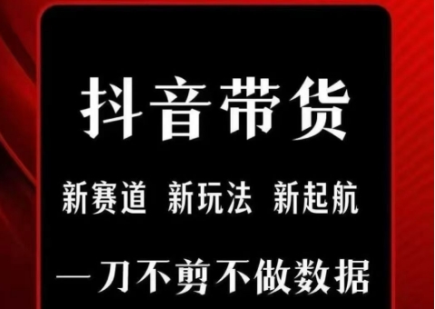 抖音短视频一刀不剪带货,不剪辑,不直播,每天发个视频,等着出单获取带货佣金-网赚副业网