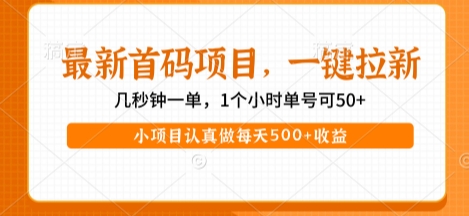 最新首码项目,操作最简单,收益高,一键拉新,1个小时单号可50+,小项目认真做每天5张+收益【揭秘】-网赚副业网