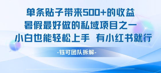 单条贴子带来5张的收益,暑假最好做的私域项目之一,小白也能轻松上手,有小红书就行-网赚副业网