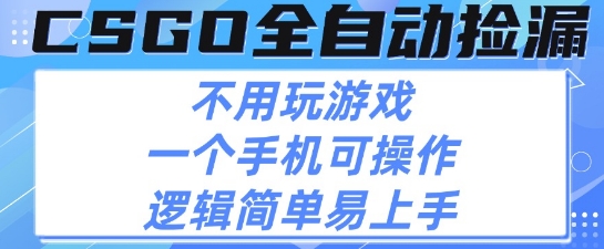 CSGO自动捡漏项目，最新独家玩法，不用挂G不用玩游戏，一个手机即可操作，新手小白轻松月入1W+【揭秘】-网赚副业网