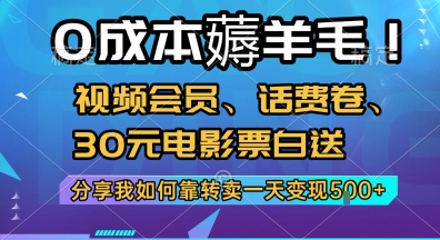 0成本薅羊毛!视频会员、话费卷、30元电影票白送,分享我如何靠转卖一天变现5张+【揭秘】-网赚副业网