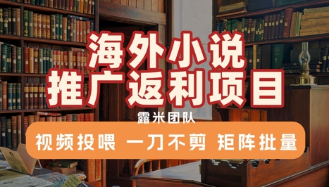 海外小说推广返利项目,视频投喂, 一刀不剪,矩阵批量-网赚副业网
