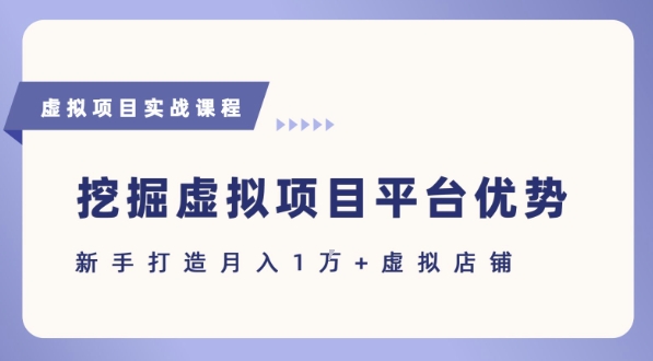 抓住虚拟项目各平台优势,新手轻松月入1W+(给出具体建议)-网赚副业网