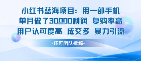 小红书蓝海项目,一部手机单月做了3W利润,小白也能月入过1W用户认可度高成交多-网赚副业网