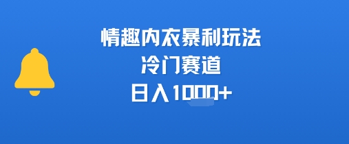 情趣内衣暴利玩法,冷门赛道,日入1k+-网赚副业网