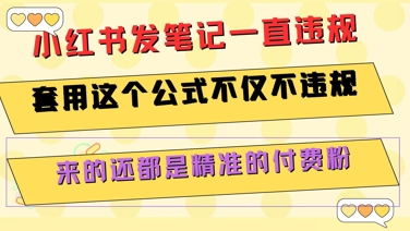 小红书发笔记一直违规,套用这个公式不仅不违规,来的还都是精准的付费粉-网赚副业网