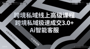 跨境私域线上高级课程,跨境私域极速成交3.0+Ai智能客服-网赚副业网