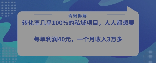 转化率最高的私域项目,每单利润40-50米,月入过1w-网赚副业网