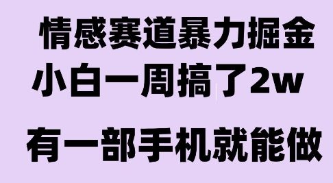 情感暴力掘金项目，新人操作一周挣了2W，长期稳定小白可做【揭秘】-网赚副业网