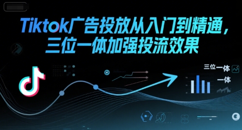 Tiktok广告投放从入门到精通,三位一体加强投流效果-网赚副业网