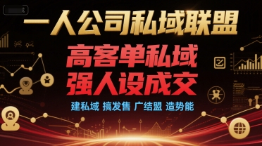 一人公司私域联盟,高客单私域,强人设成交,建私域 搞发售 广结盟 造势能-网赚副业网