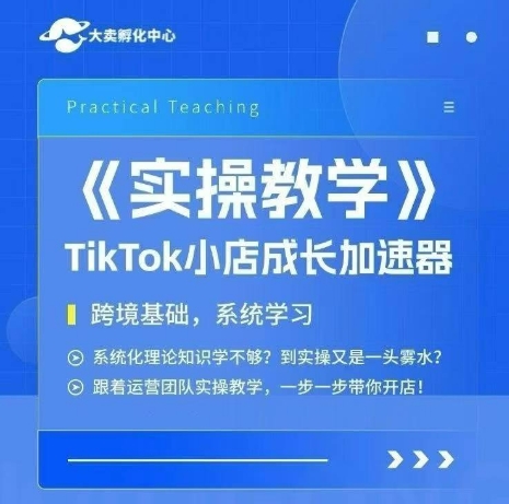 大卖家孵化中心TikTok实操课，TikTok小店成长加速器，跨境基础系统学习，一步一步带你开店-网赚副业网