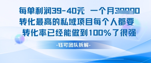 每单利润40一个月7k+转化最高的私域项目,每个人都要的产品转化率已经能做到100%-网赚副业网