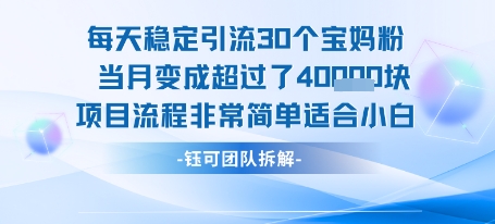 每天稳定引流30个人 当月变成超过了4个W项目流程非常简单适合小白-网赚副业网
