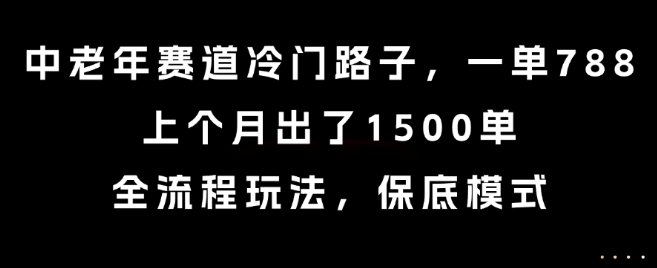 中老年赛道冷门路子,一单788,上个月出了1500单,全流程玩法,保底模式【揭秘】-网赚副业网