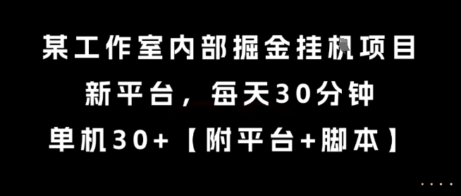某工作室内部掘金挂G项目,新平台,每天30分钟,单机30+【揭秘】-网赚副业网