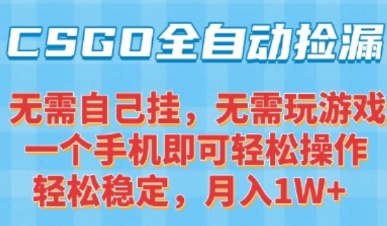 CSGO自动捡漏项目,最新独家玩法,一个手机可操作,新手小白轻松月入1W+,操作简单易上手【揭秘】-网赚副业网