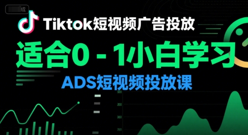 Tiktok短视频广告投放,适合0-1小白学习ADS短视频投放课-网赚副业网