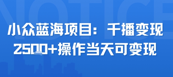 小众蓝海项目,千播变现2.5k+操作当天可变现-网赚副业网