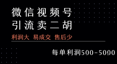 视频号卖二胡教程,利润大 易成交 售后少,一单利润5张+-网赚副业网