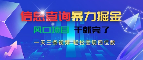 信息查询暴力掘金,一天三条视频,轻松变现四位数,风口项目干就完了【揭秘】-网赚副业网