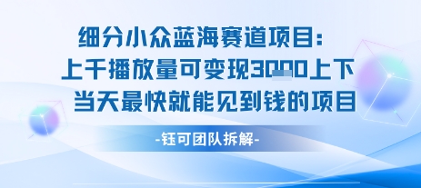 小众蓝海赛道项目:当天变现1k+适合新手操作 +适合长期玩-网赚副业网