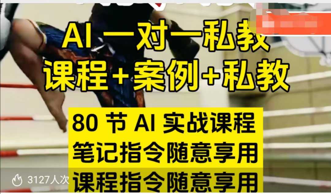 AI指令实战课，课程+案例，80节AI实战课程，笔记指令随意享用，课程指令随意享用（更新7月）-网赚副业网