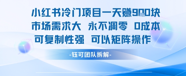 小红书冷门项目一天收益9张,市场需求大,0成本,可复制性强可以矩阵操作-网赚副业网
