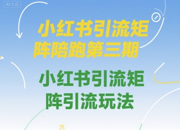 小红书引流矩阵陪跑第三期,小红书引流矩阵引流玩法-网赚副业网