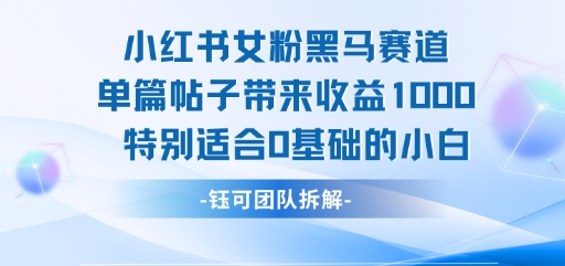 小红书女粉黑马赛道单篇帖子带来收益1k+,特别适合0基础的小白-网赚副业网