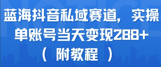 蓝海抖音私域赛道,实操单账号当天变现288+(附教程)-网赚副业网