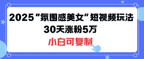 不露脸也能火!2025“氛围感美女”短视频玩法,30天涨粉5W小白可复制-网赚副业网