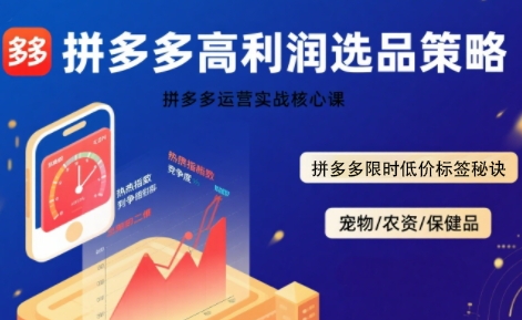 拼多多选品暴利技术实战课,拼多多高利润选品策略,拼多多限时低价标签秘诀-网赚副业网