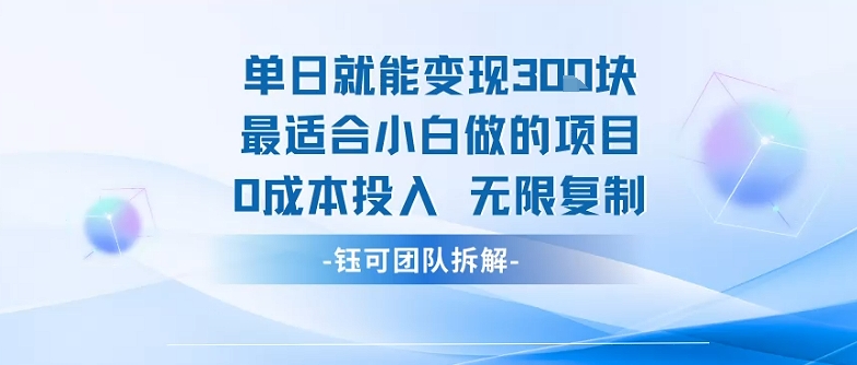 单日就能变现3张最适合小白做的项目0成本投入 无限复制-网赚副业网