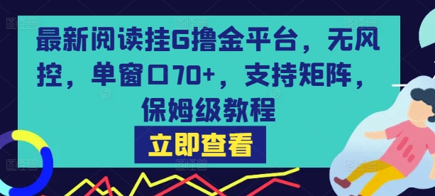 最新阅读挂G撸金平台,无风控,单窗口70+,支持矩阵,保姆级教程【揭秘】-网赚副业网