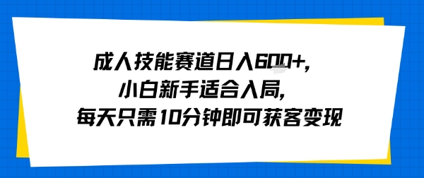 成人技能赛道日入多张,小白新手适合入局,每天只需10分钟即可获客变现-网赚副业网