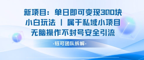 新项目单日即可变现3张的小白玩法无脑操作不封号安全引流-网赚副业网