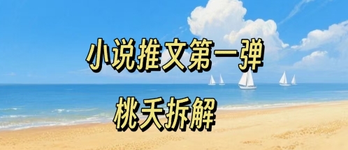 小说推文项目操作全流程第一弹,0粉就能做,门槛低非常适合新手-网赚副业网