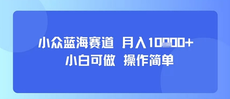 小众蓝海赛道,小白可做,操作简单,每天30分钟,月入1W+-网赚副业网