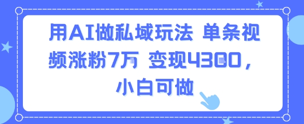 用AI做私域玩法，单条视频涨粉7W变现4.3k，小白可做-网赚副业网