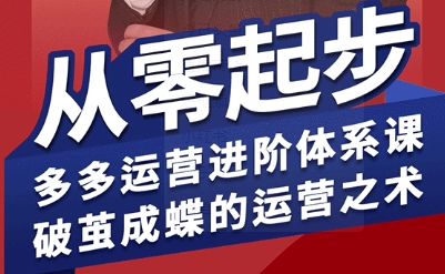 拼多多运营进阶系统课，从零起步，多多运营进阶体系课，破茧成蝶的运营之术-网赚副业网