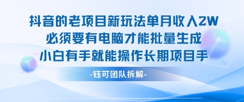 老项目新玩法单月收入2W小白有手就能操作长期项目-网赚副业网