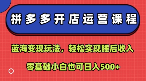 拼多多开店运营课程：蓝海变现玩法，轻松实现睡后收入，零基础小白也可日入5张-网赚副业网