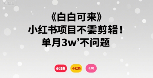 小白可来 小红书项目不需要剪辑 单月3w不是问题-网赚副业网