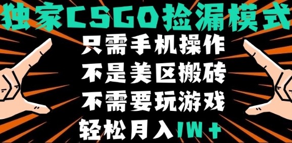 CSGO自动捡漏项目,最新独家玩法,不是美区搬砖,不需要了解和玩游戏,新手小白轻松月入1W+【揭秘】-网赚副业网