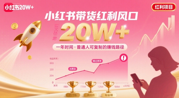 一年时间靠小红书带货项目年入20w+，最不能错的大红利项目-网赚副业网