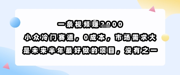 一条视频挣1k，小众冷门赛道，0成本，市场需求大，是未来半年最好做的项目，没有之一-网赚副业网
