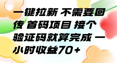 一键拉新 不需要回传 首码项目 接个验证码就算完成 一小时收益70+【揭秘】-网赚副业网
