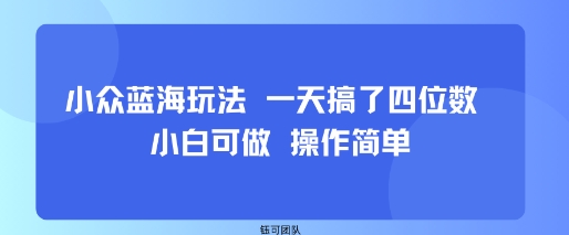 小众蓝海玩法 一天搞了四位数 小白可做 操作简单-网赚副业网